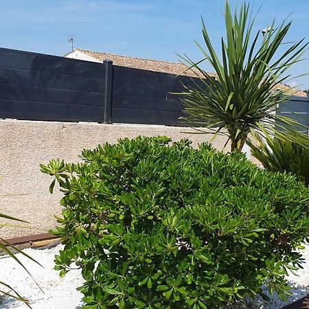 La Villa De L'Olivier Piscine Privee Et Parking Carcassonne Eksteriør bilde
